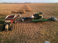 RyanGrainFarm.com